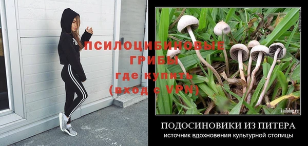 прущие крисы Горнозаводск