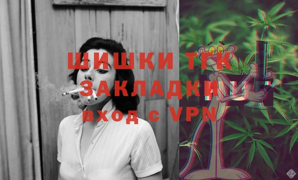 дмт Горняк
