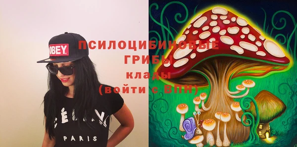 дмт Горняк